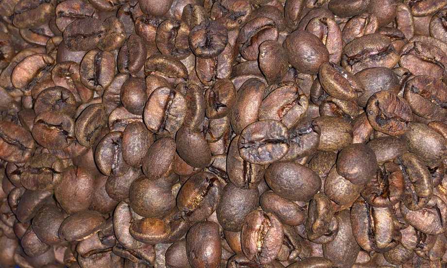 roasted coffee